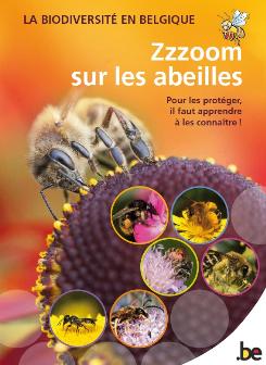 thumbnail - La biodiversité en Belgique - Zzzoom sur les abeilles